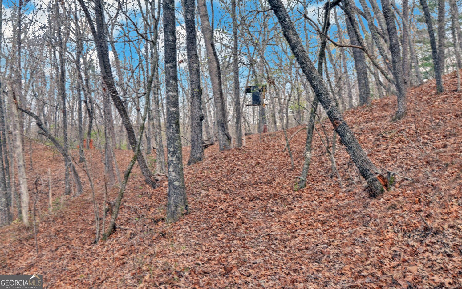 3256 Long branch Road Dahlonega - Photo 60