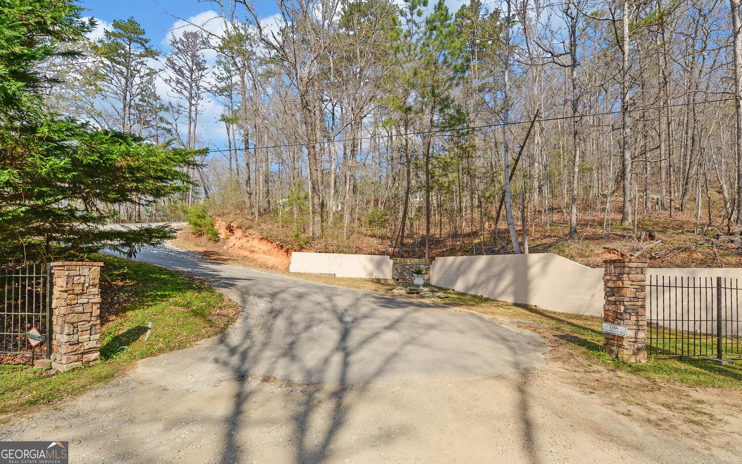 3256 Long branch Road Dahlonega - Photo 63