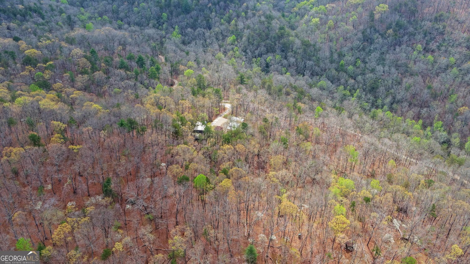 3256 Long branch Road Dahlonega - Photo 64