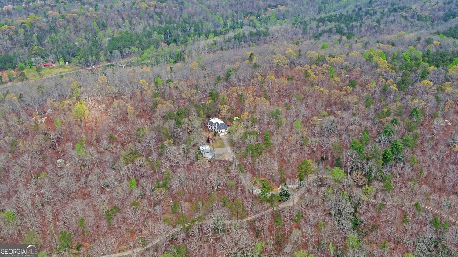 3256 Long branch Road Dahlonega - Photo 65