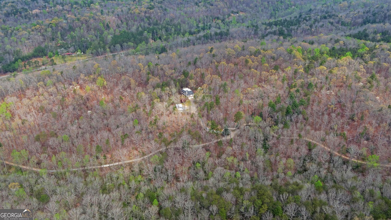 3256 Long branch Road Dahlonega - Photo 69