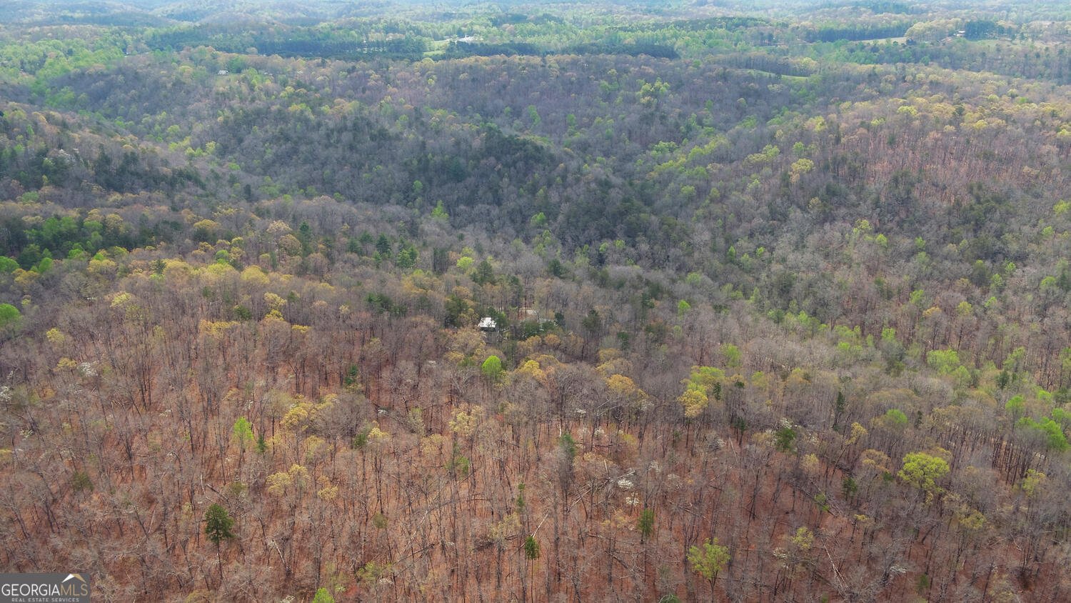 3256 Long branch Road Dahlonega - Photo 73