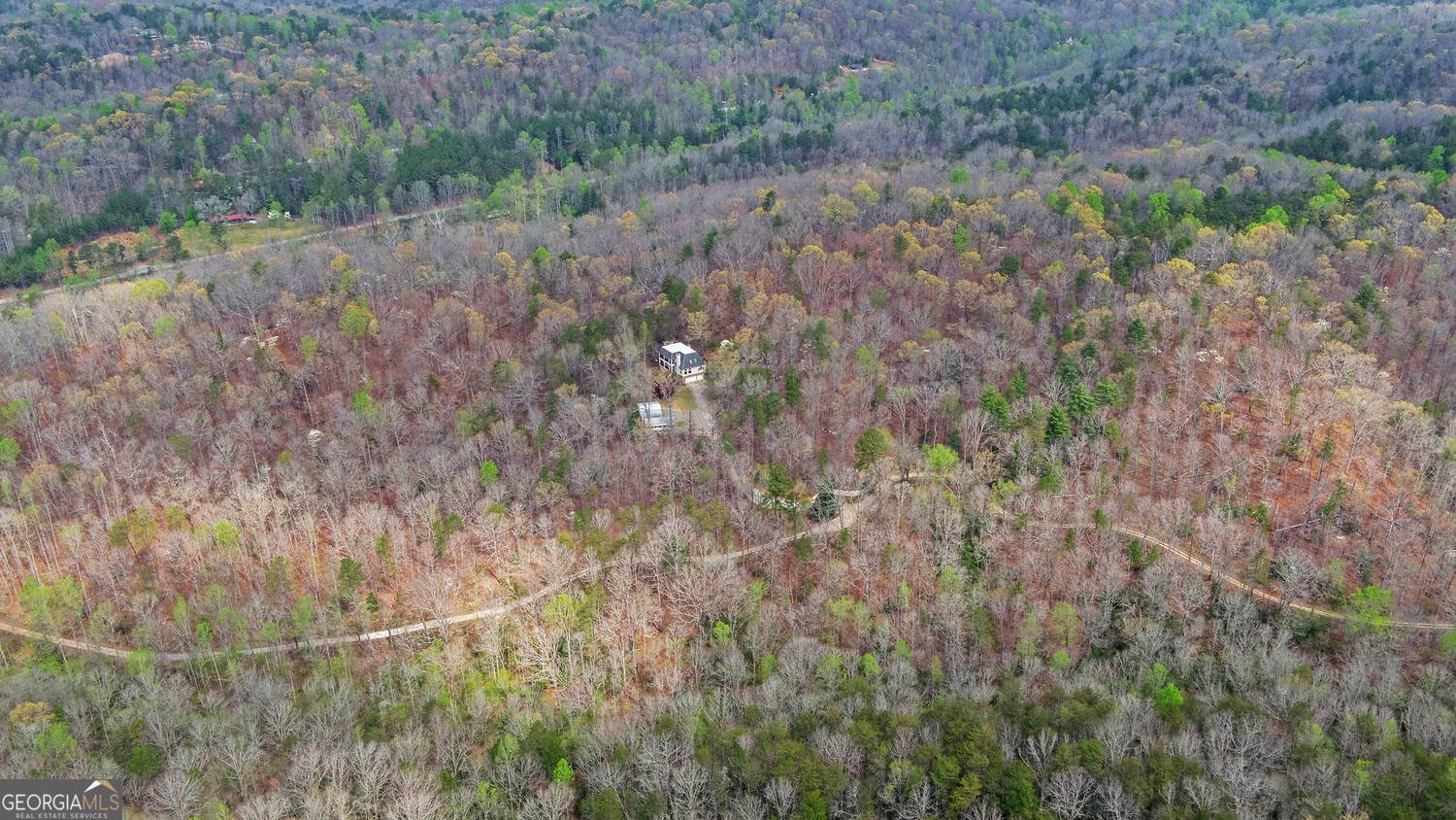 3256 Long branch Road Dahlonega - Photo 75