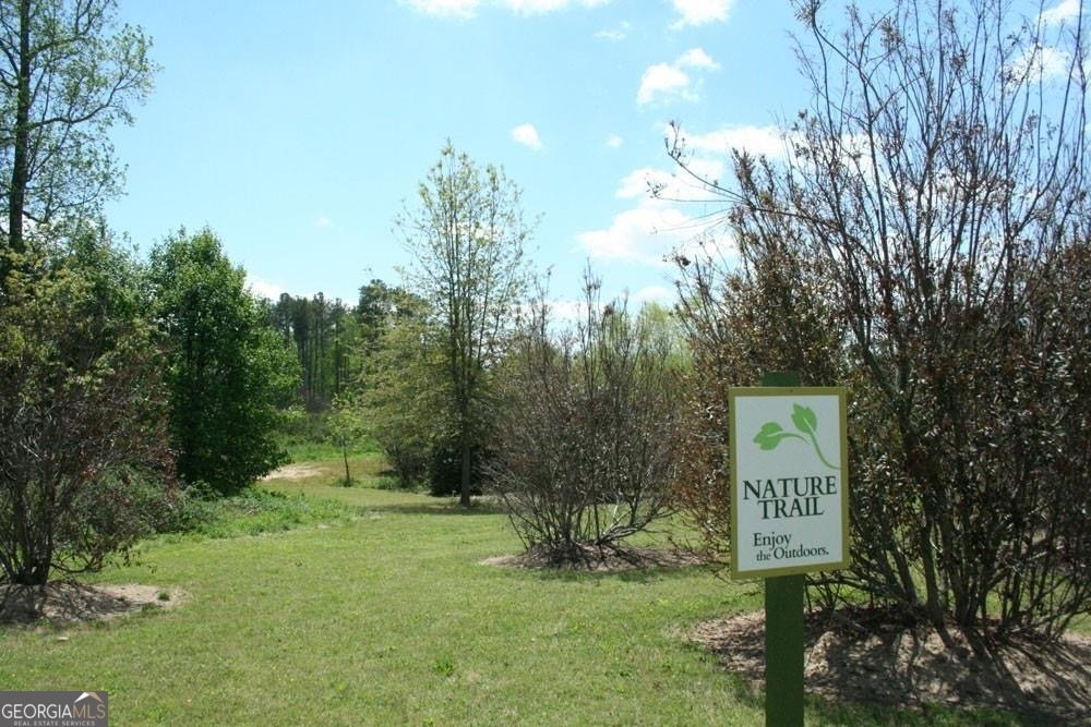 4320 Jeston Court Cumming - Photo 64