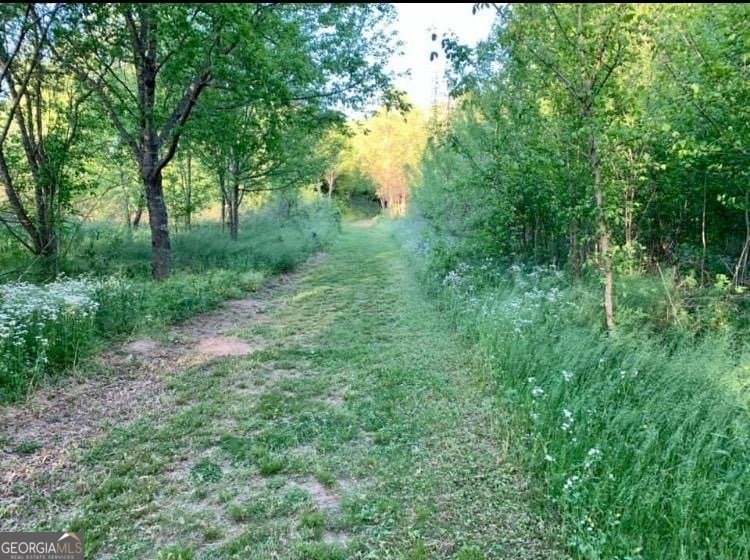 4320 Jeston Court Cumming - Photo 65