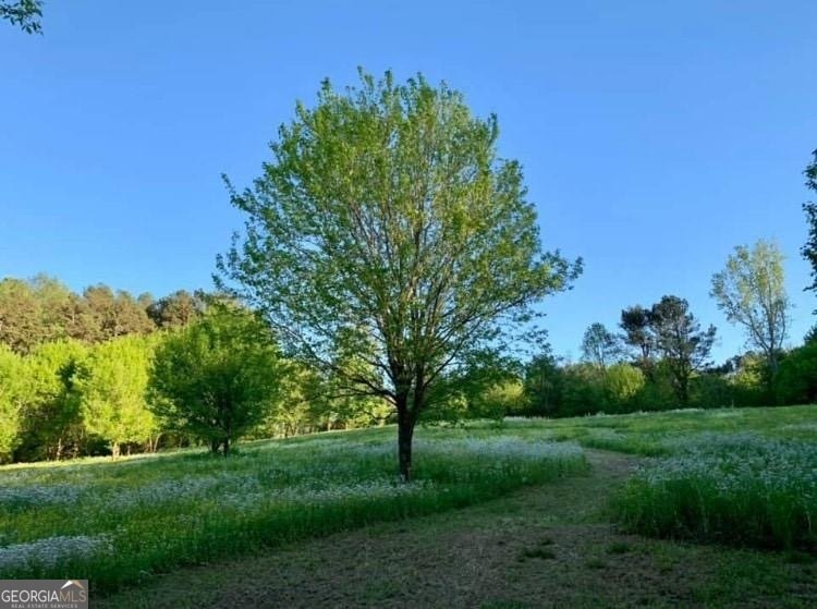 4320 Jeston Court Cumming - Photo 66