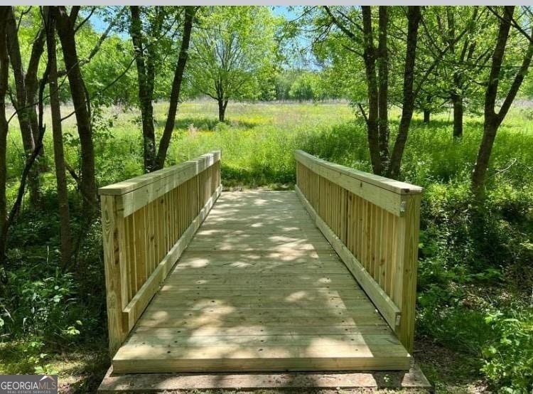 4320 Jeston Court Cumming - Photo 67