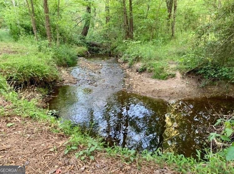 4320 Jeston Court Cumming - Photo 68