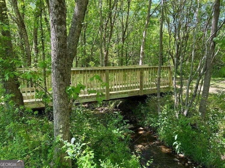 4320 Jeston Court Cumming - Photo 69