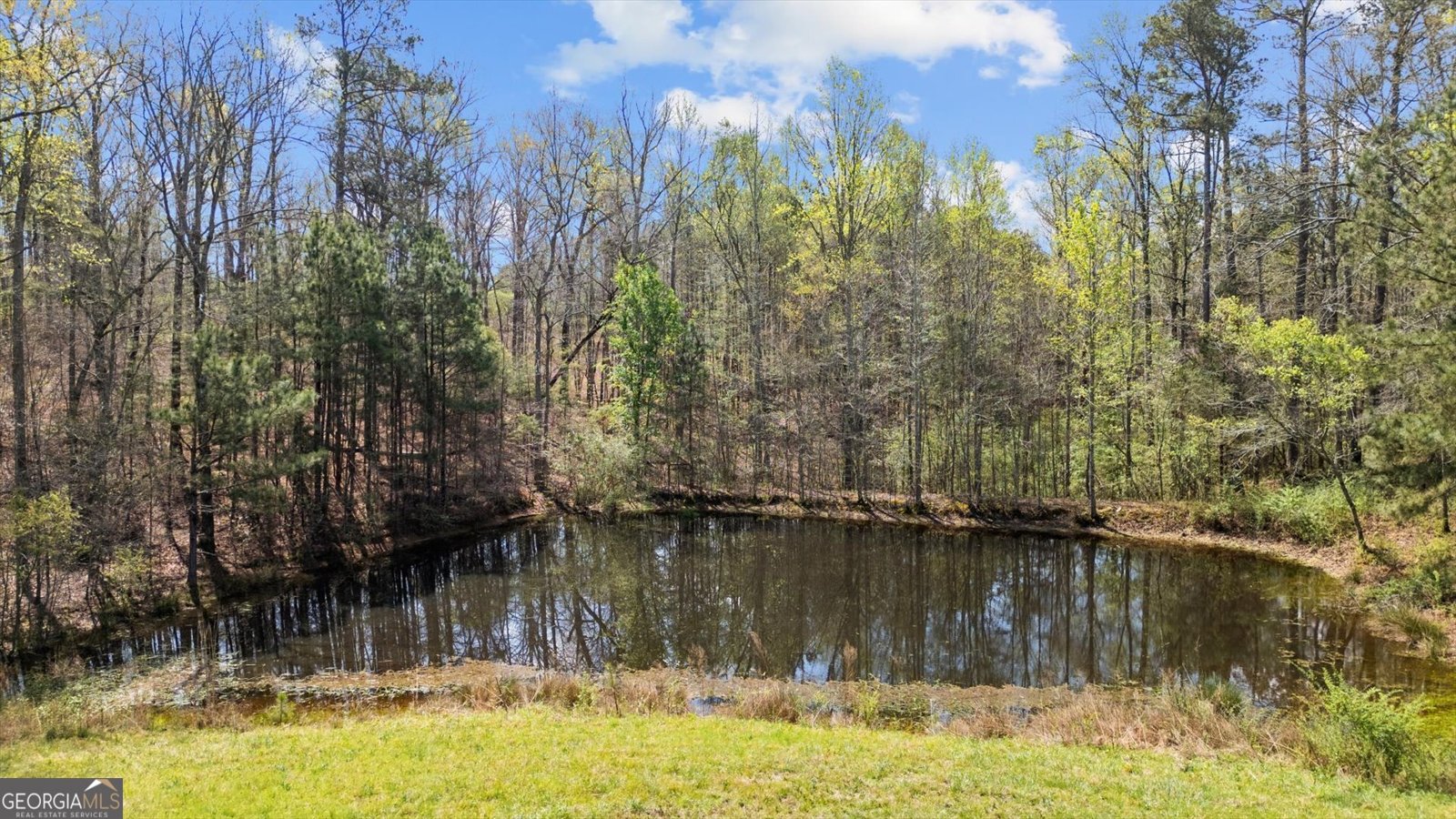 1396 County Road 134 Woodland - Photo 63