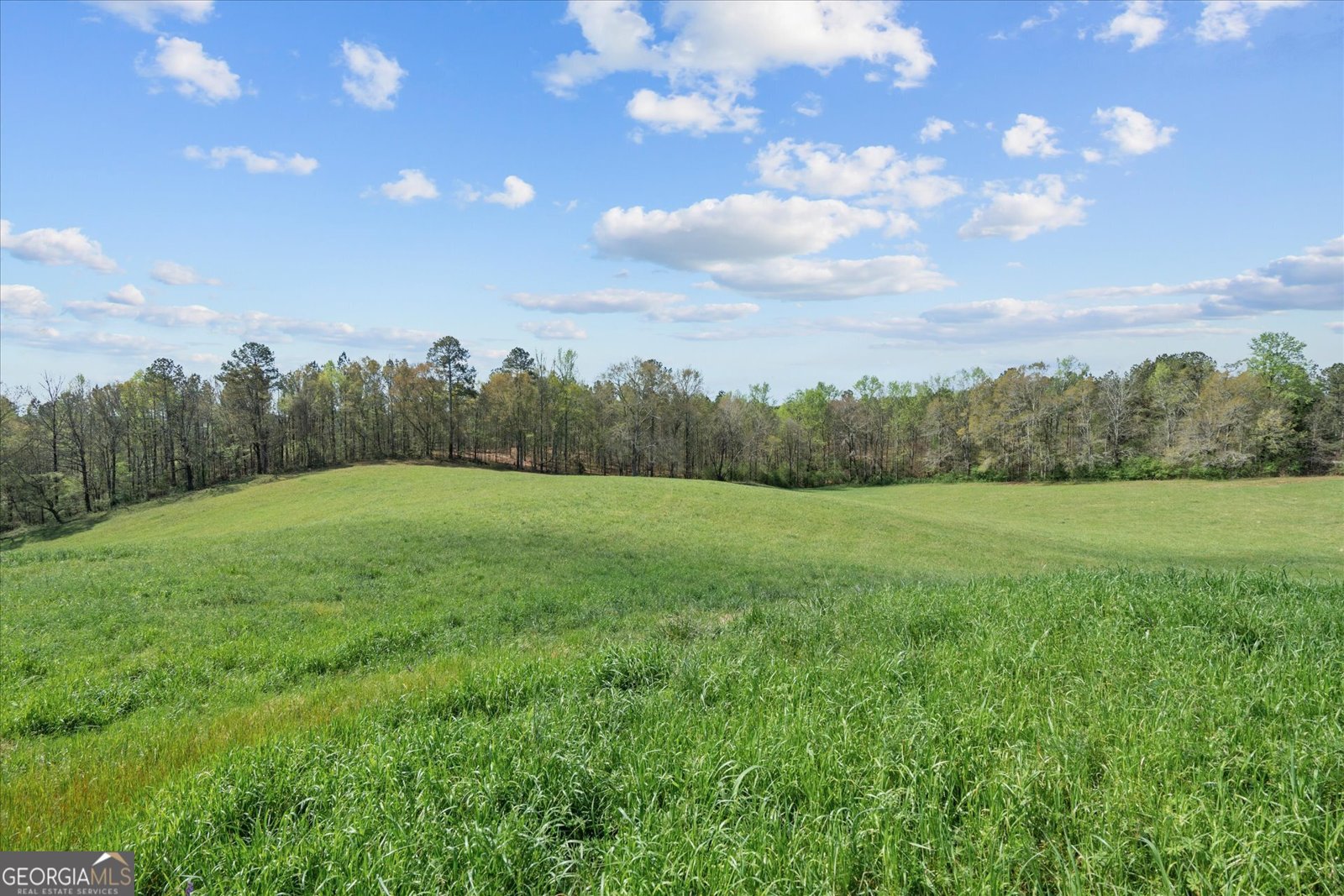 1396 County Road 134 Woodland - Photo 64