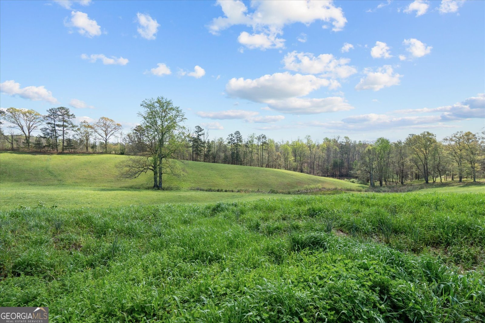 1396 County Road 134 Woodland - Photo 67