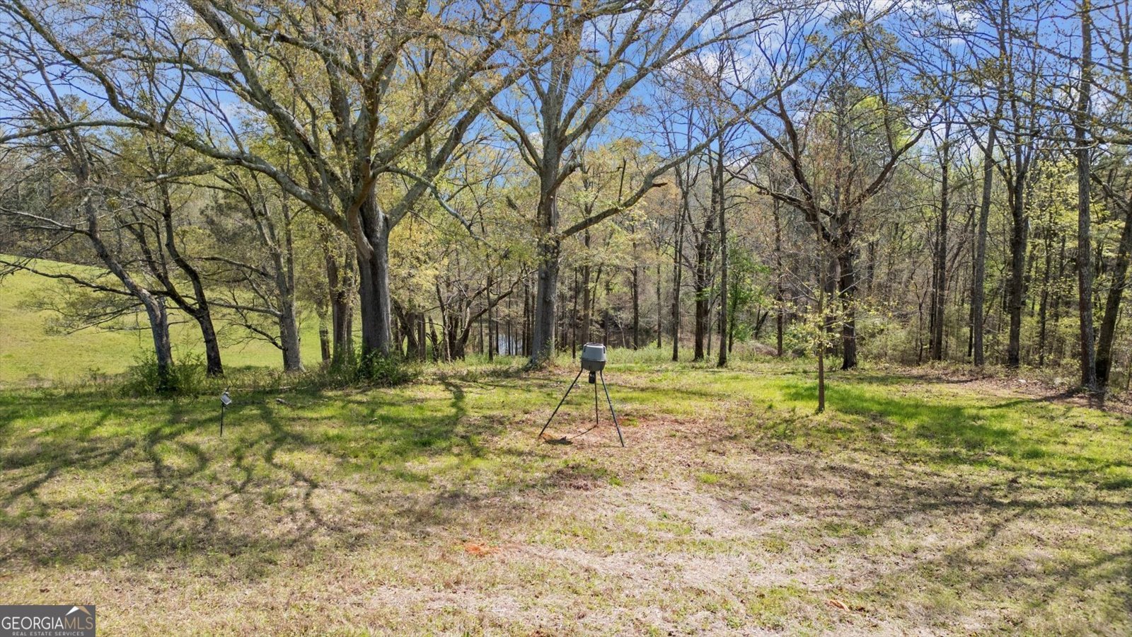 1396 County Road 134 Woodland - Photo 75