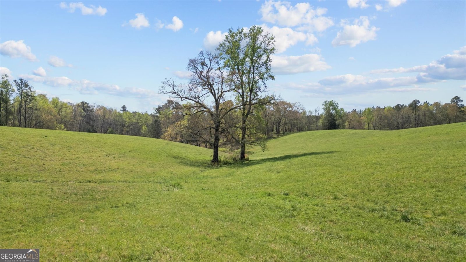 1396 County Road 134 Woodland - Photo 76