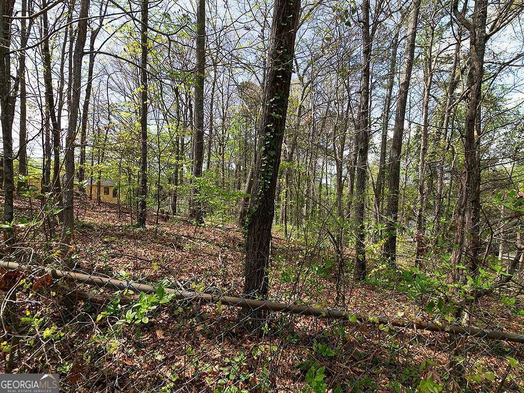 3640 Silver Leaf Lane Marietta - Photo 34