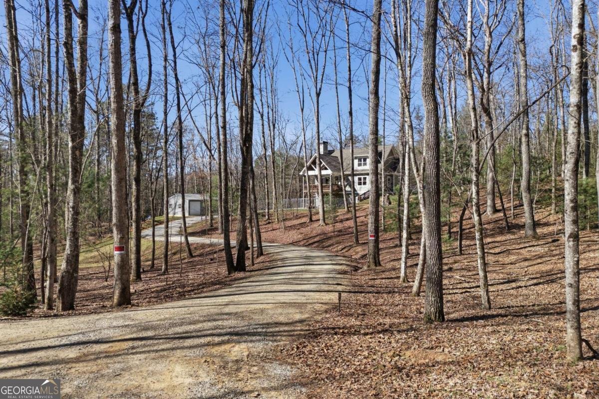 753 Pit Road Blairsville - Photo 6