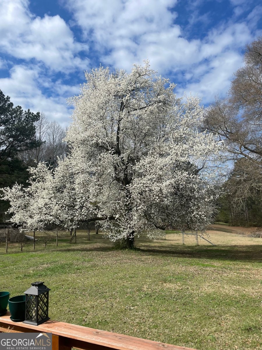 497 Corinth Road Hogansville - Photo 33