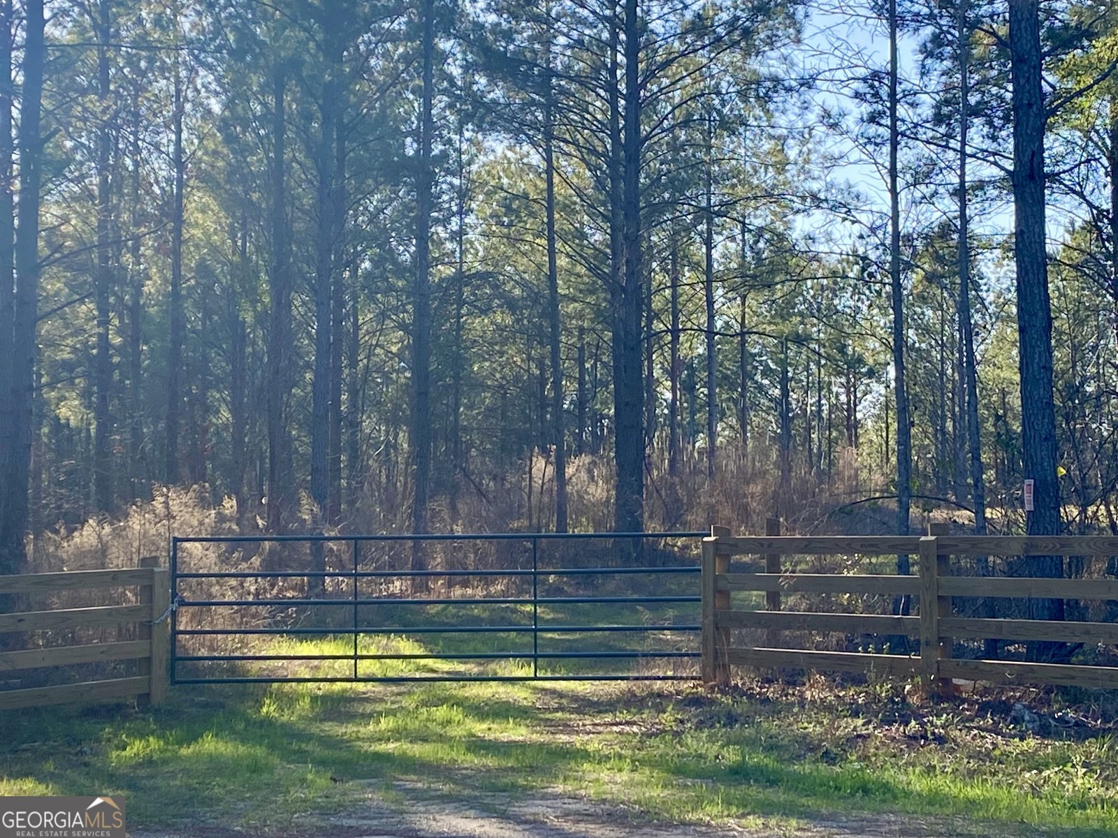 3312 Hunts Chapel Road Sparta - Photo 23