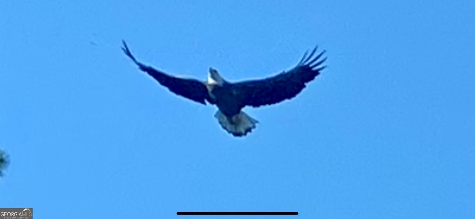 3312 Hunts Chapel Road Sparta - Photo 24