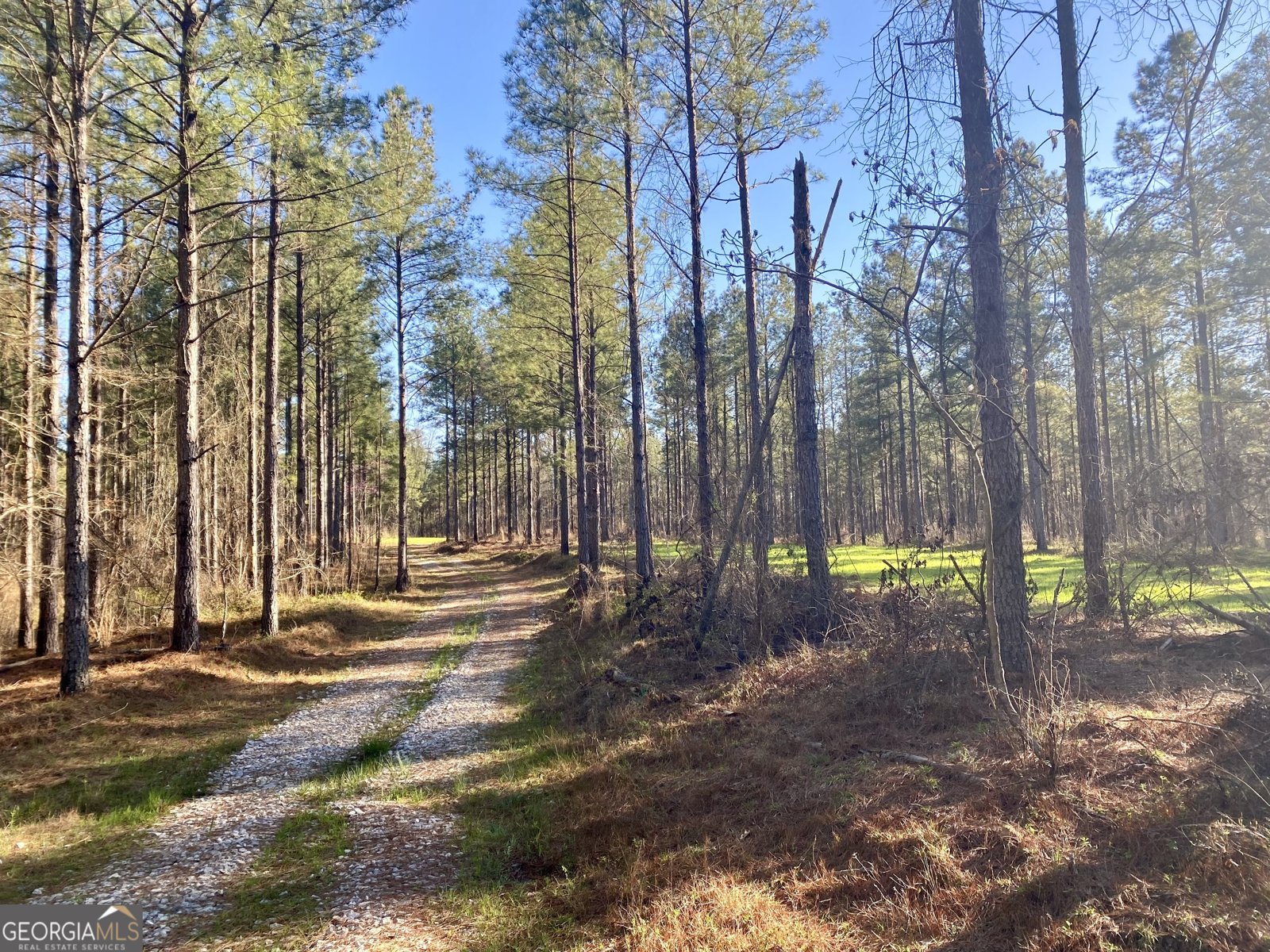 3312 Hunts Chapel Road Sparta - Photo 25