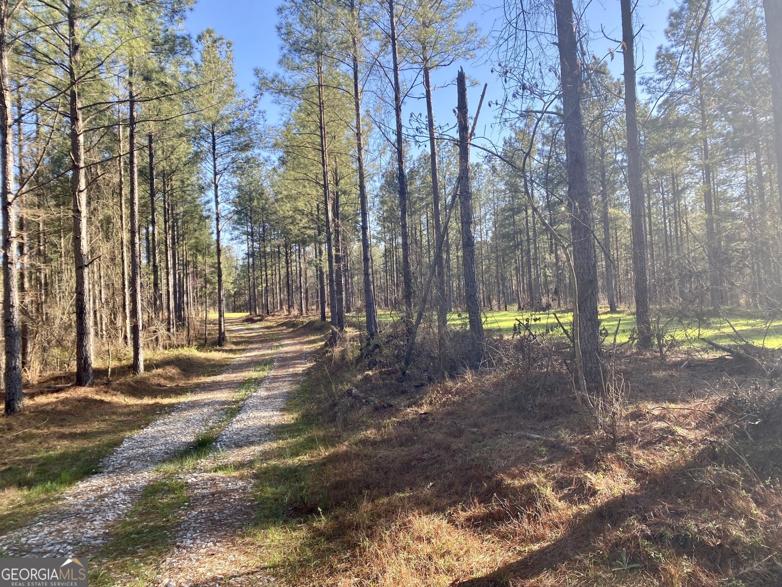 3312 Hunts Chapel Road Sparta - Photo 26