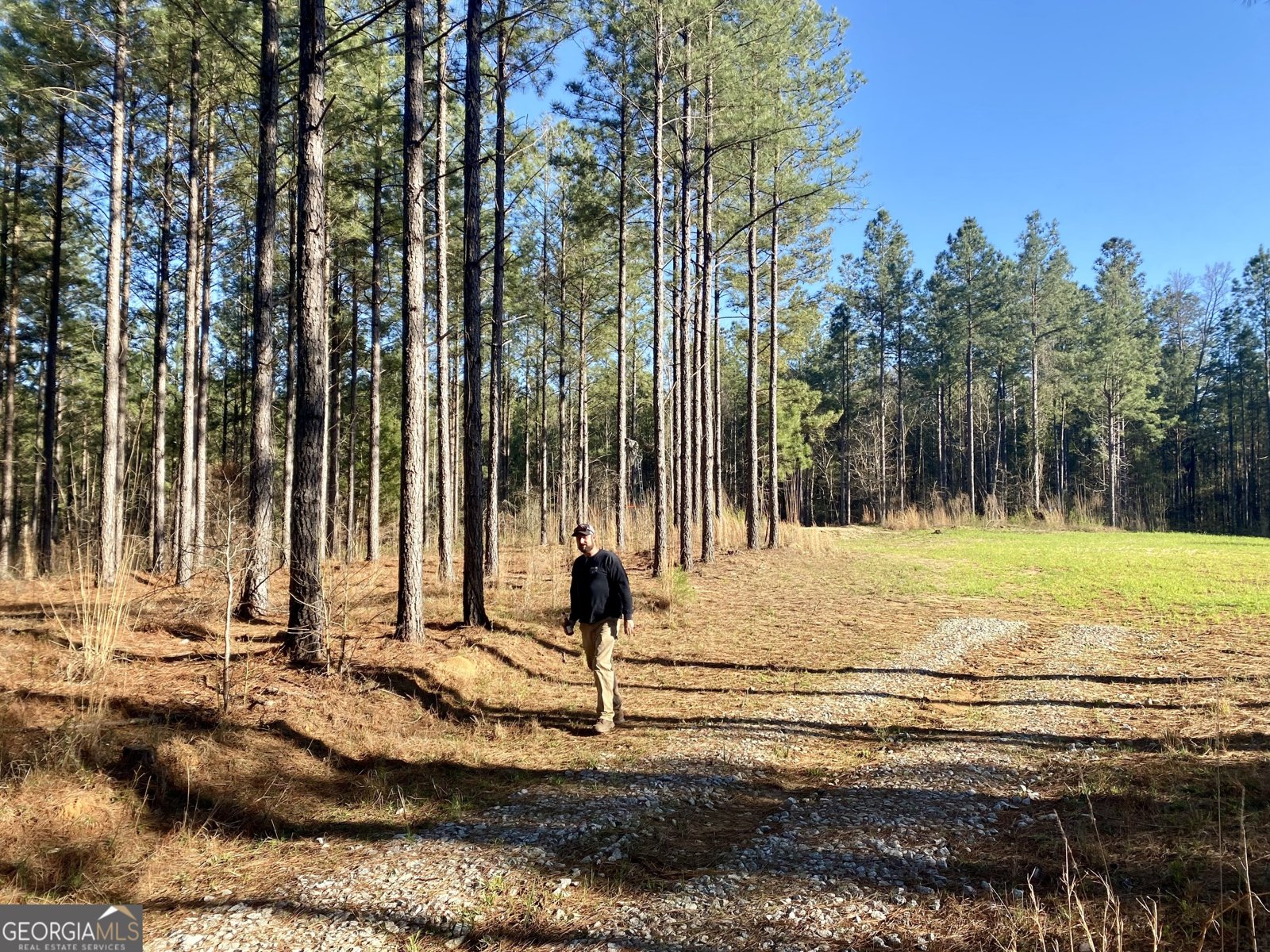 3312 Hunts Chapel Road Sparta - Photo 27