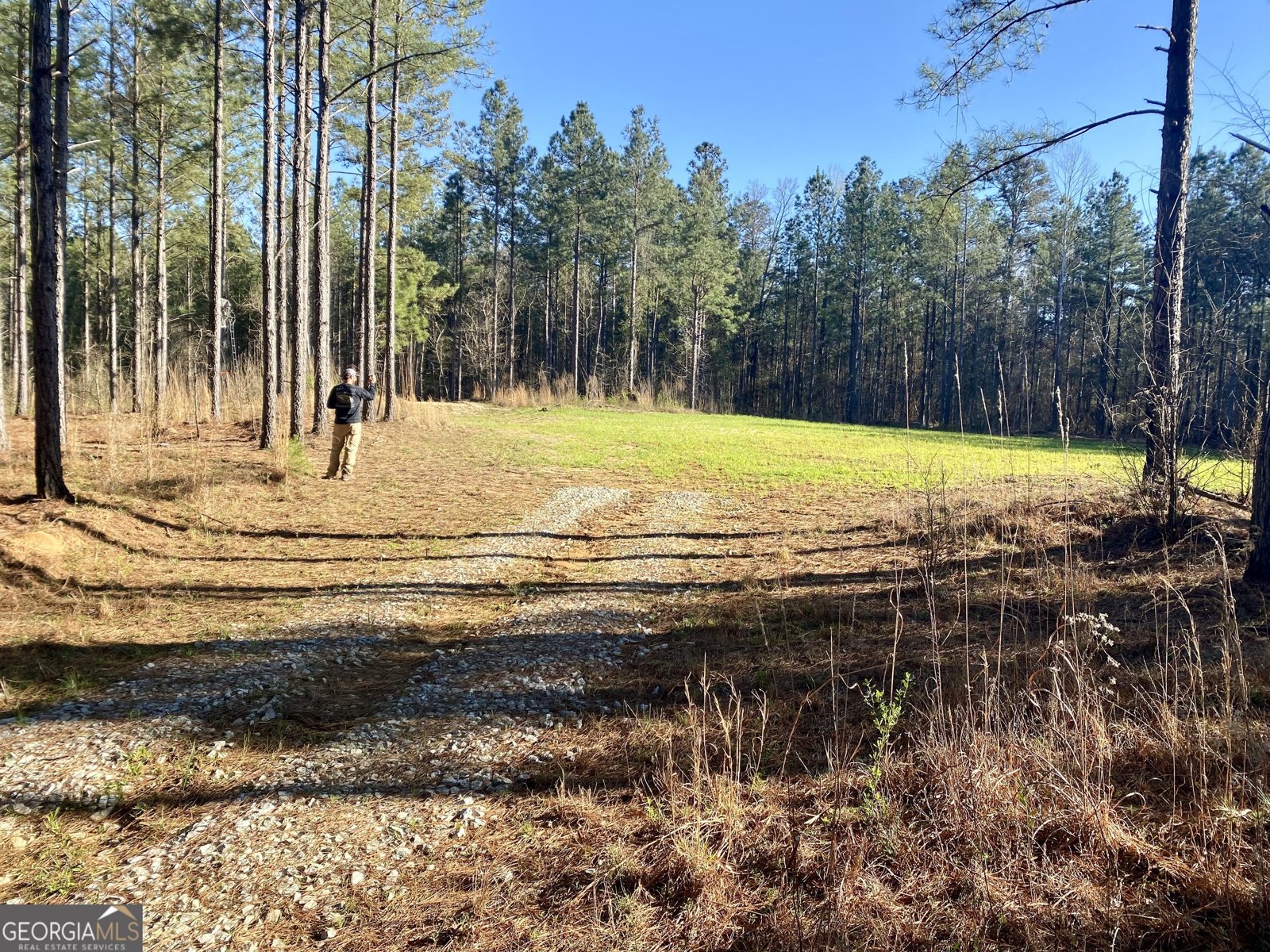 3312 Hunts Chapel Road Sparta - Photo 28