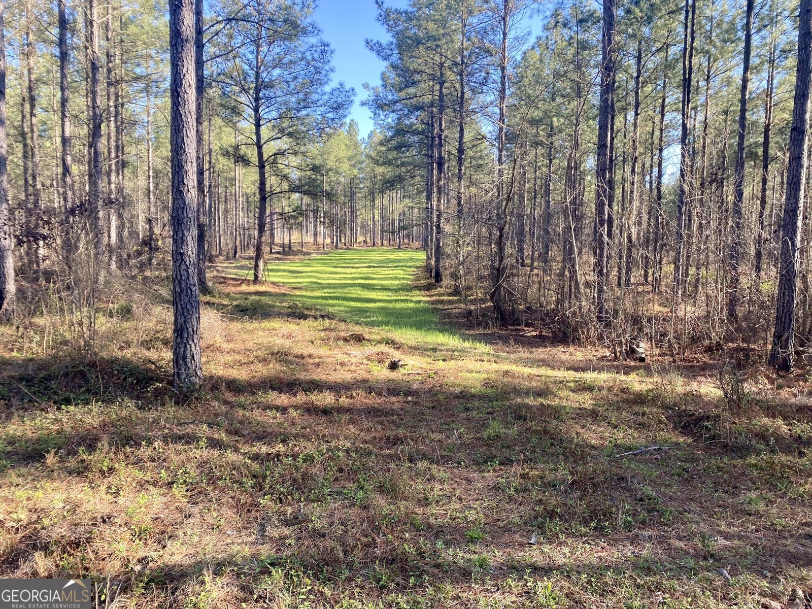 3312 Hunts Chapel Road Sparta - Photo 29