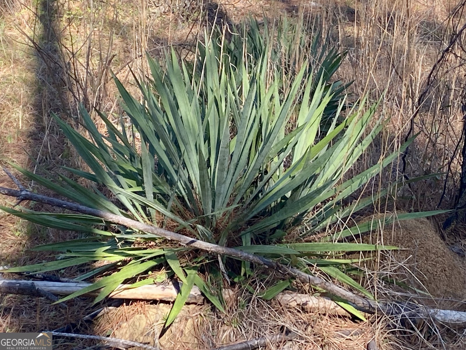 3312 Hunts Chapel Road Sparta - Photo 33