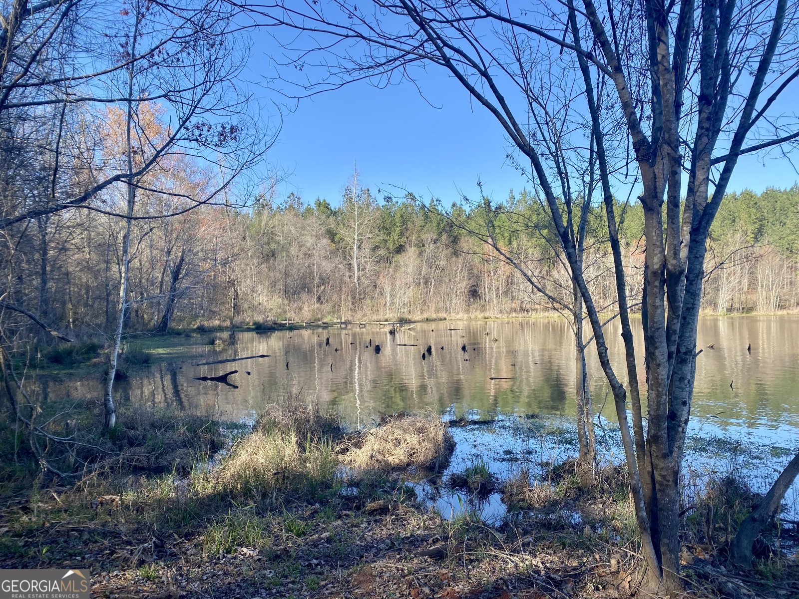 3312 Hunts Chapel Road Sparta - Photo 35