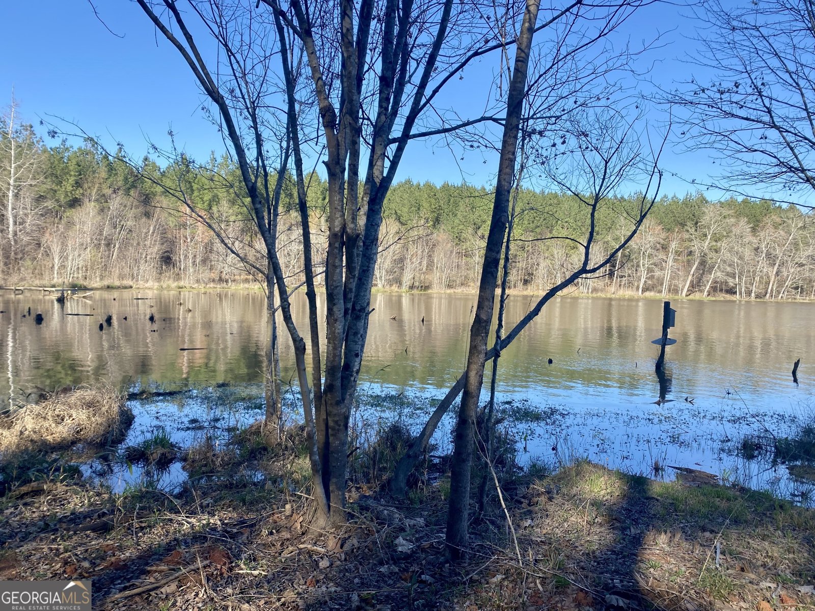 3312 Hunts Chapel Road Sparta - Photo 36