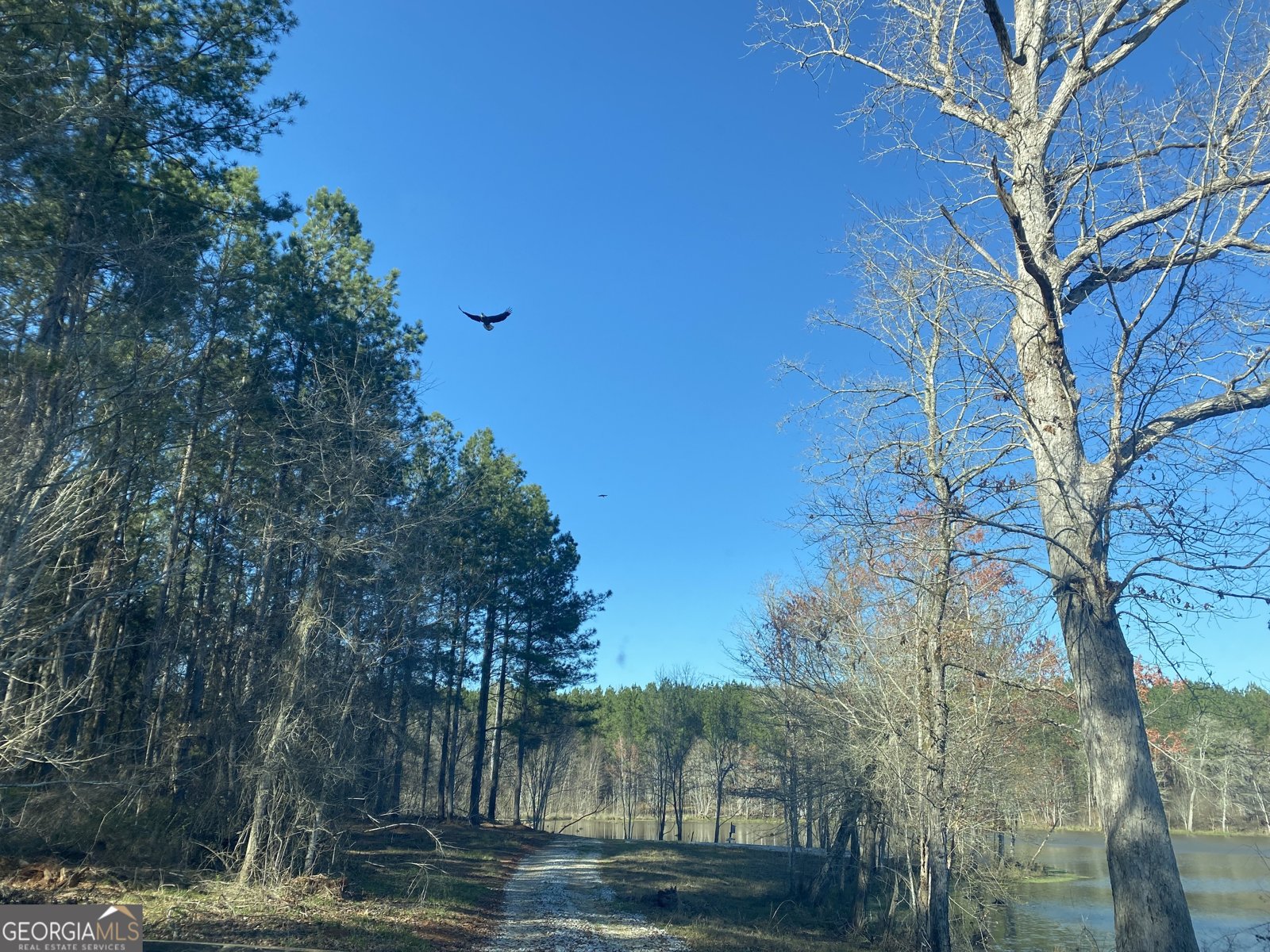 3312 Hunts Chapel Road Sparta - Photo 38