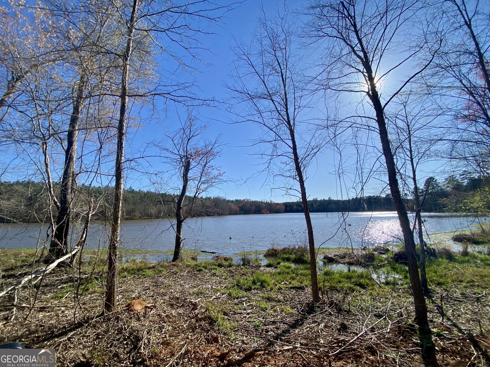 3312 Hunts Chapel Road Sparta - Photo 41