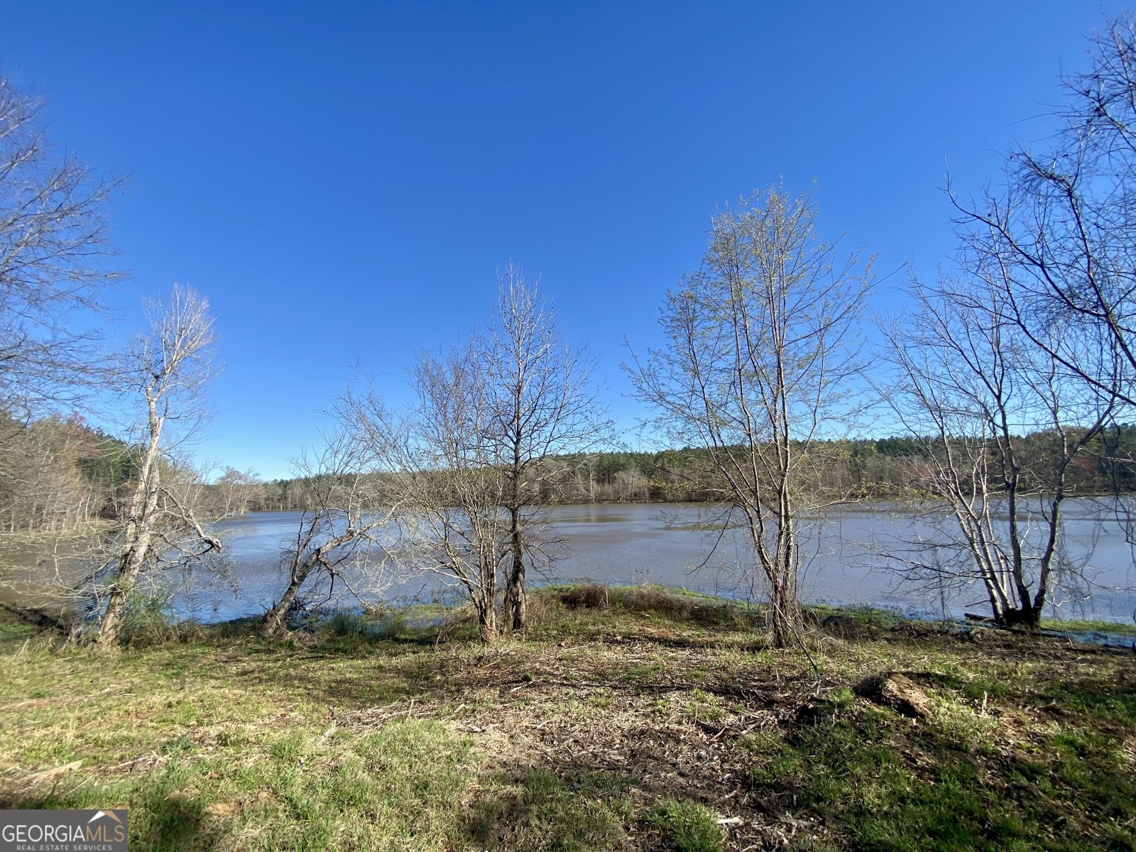 3312 Hunts Chapel Road Sparta - Photo 44