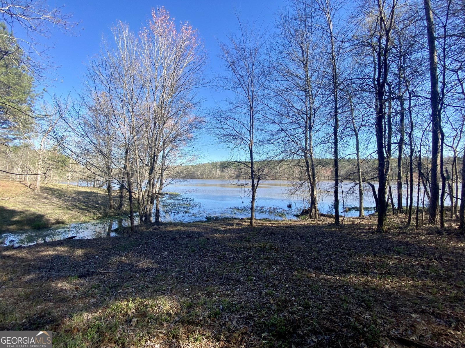 3312 Hunts Chapel Road Sparta - Photo 45