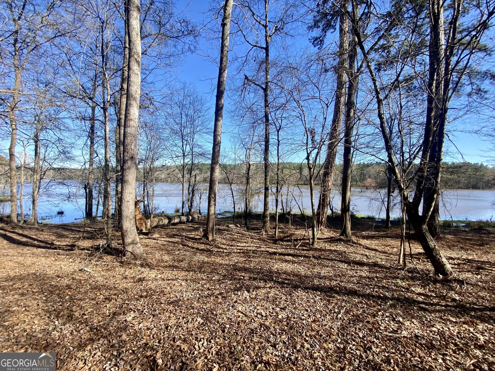 3312 Hunts Chapel Road Sparta - Photo 46