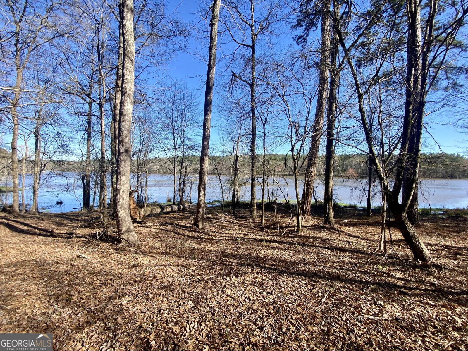 3312 Hunts Chapel Road Sparta - Photo 47