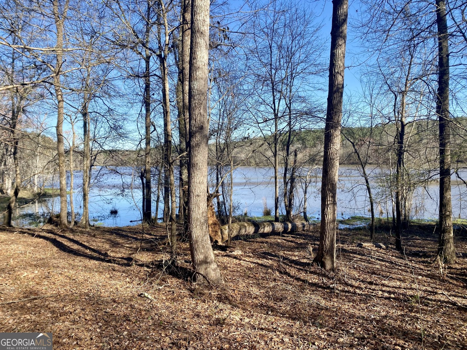 3312 Hunts Chapel Road Sparta - Photo 48