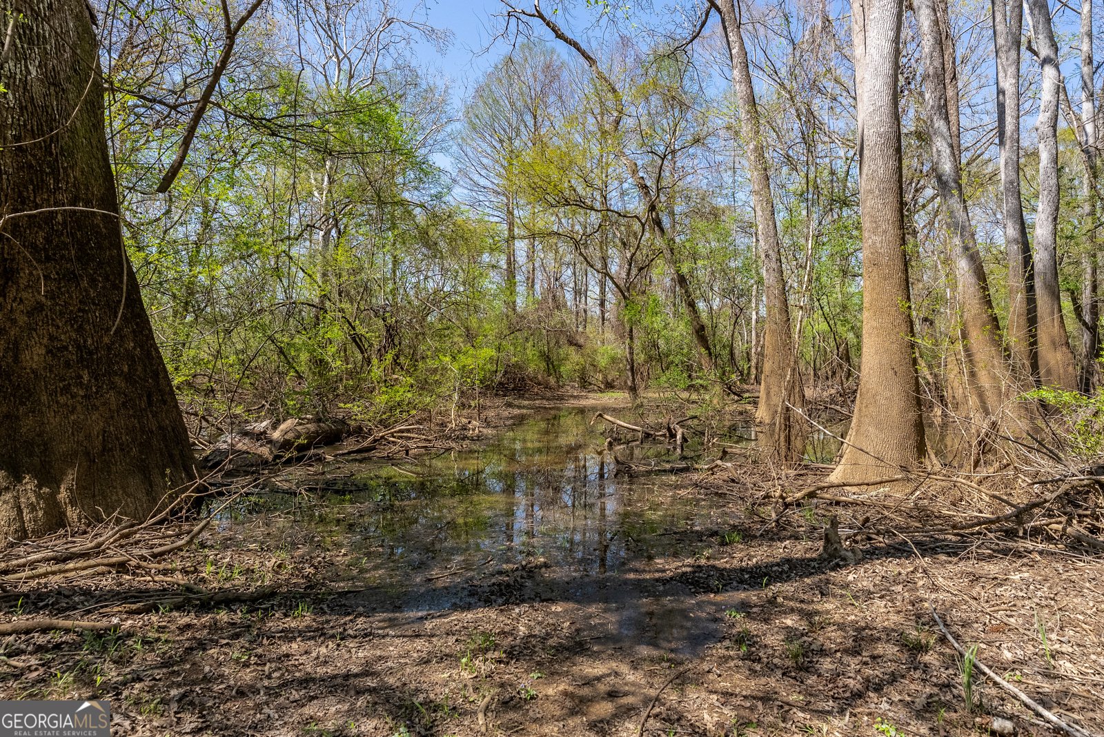 1102 Three Rivers Lane Uvalda - Photo 13