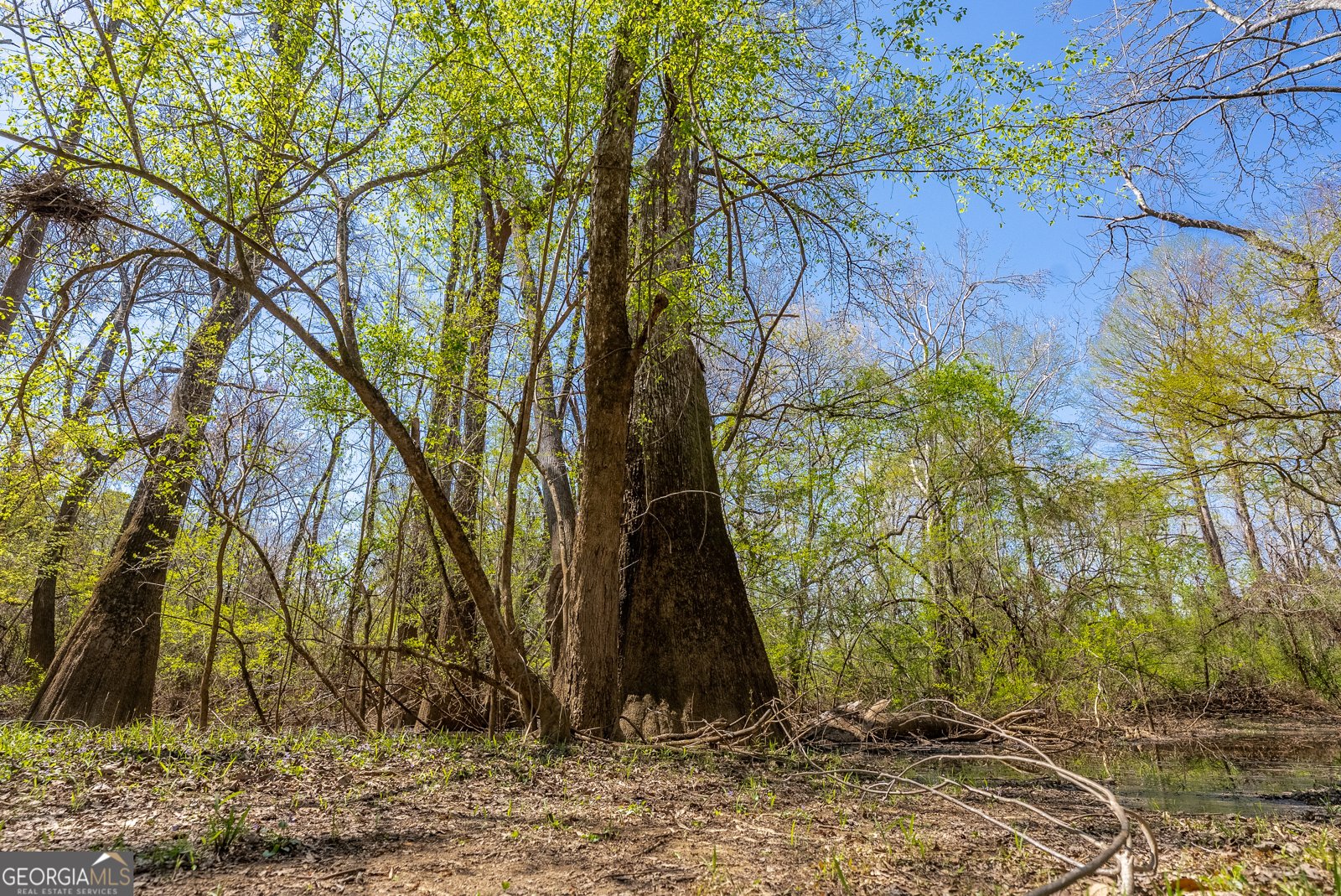 1102 Three Rivers Lane Uvalda - Photo 14