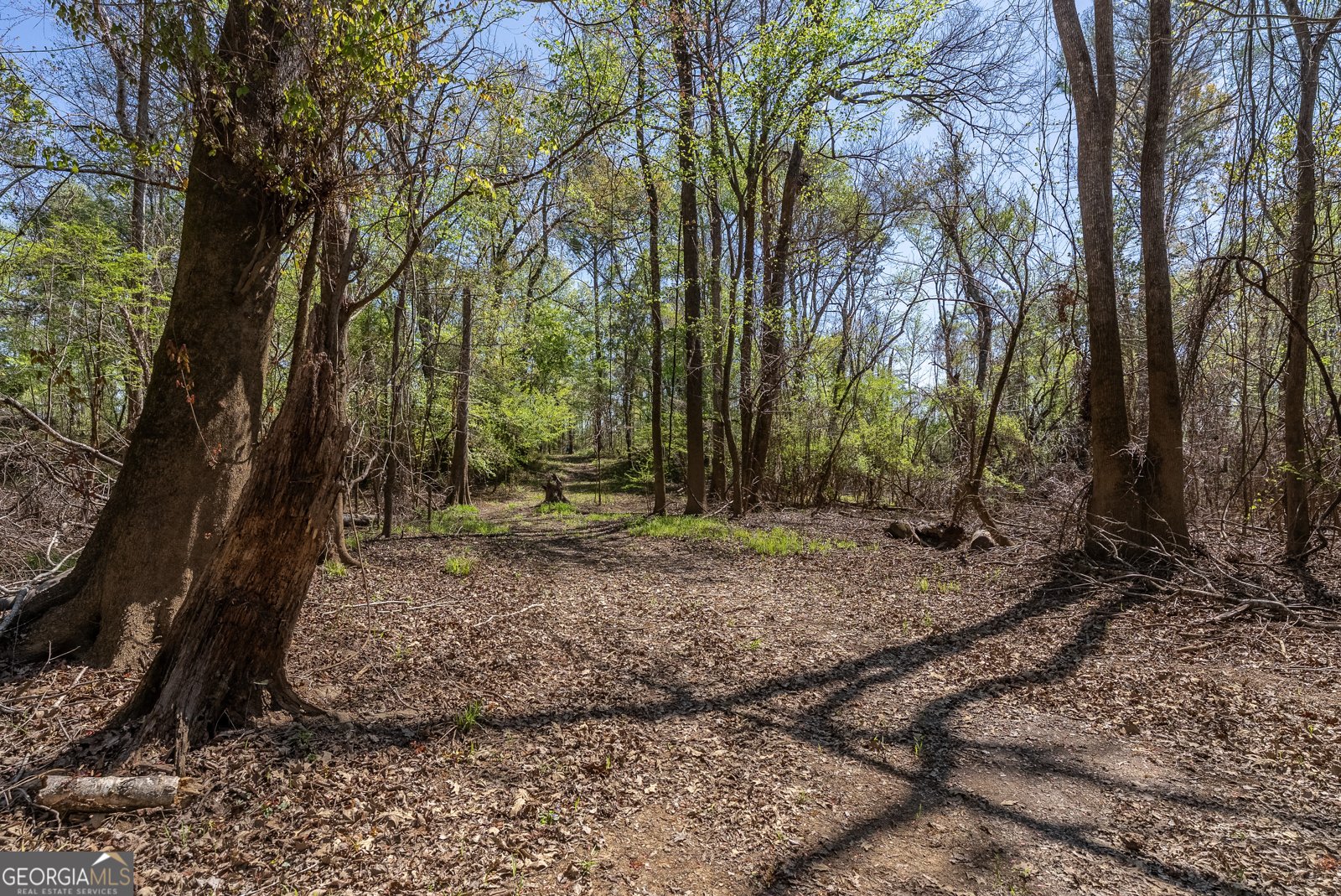 1102 Three Rivers Lane Uvalda - Photo 15