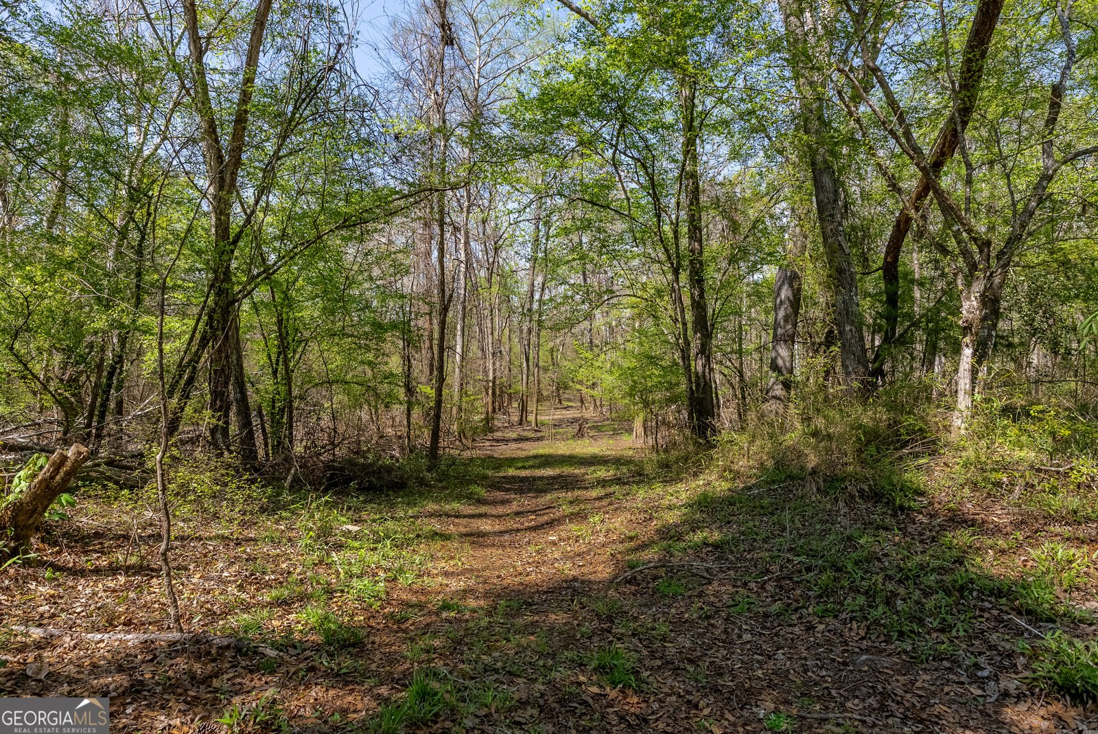 1102 Three Rivers Lane Uvalda - Photo 16