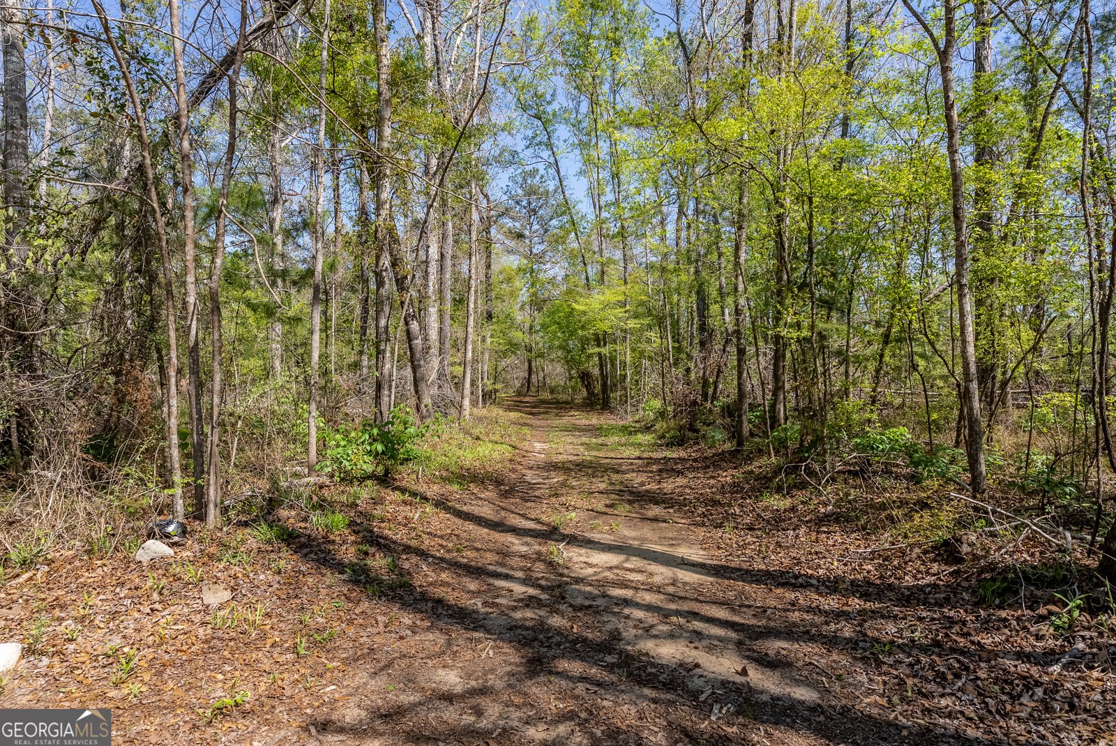 1102 Three Rivers Lane Uvalda - Photo 17