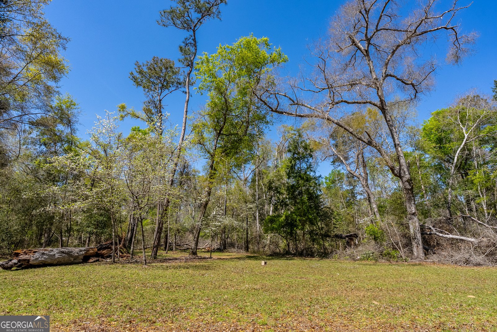 1102 Three Rivers Lane Uvalda - Photo 18