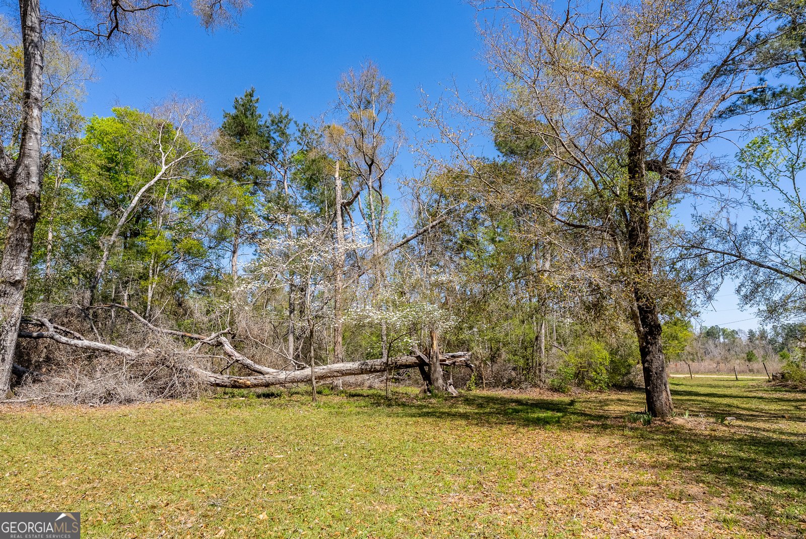 1102 Three Rivers Lane Uvalda - Photo 19