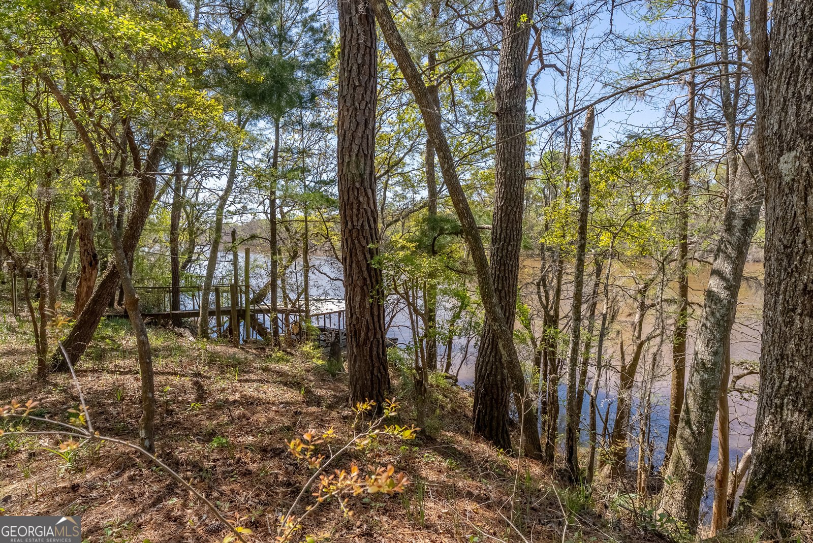 1102 Three Rivers Lane Uvalda - Photo 20