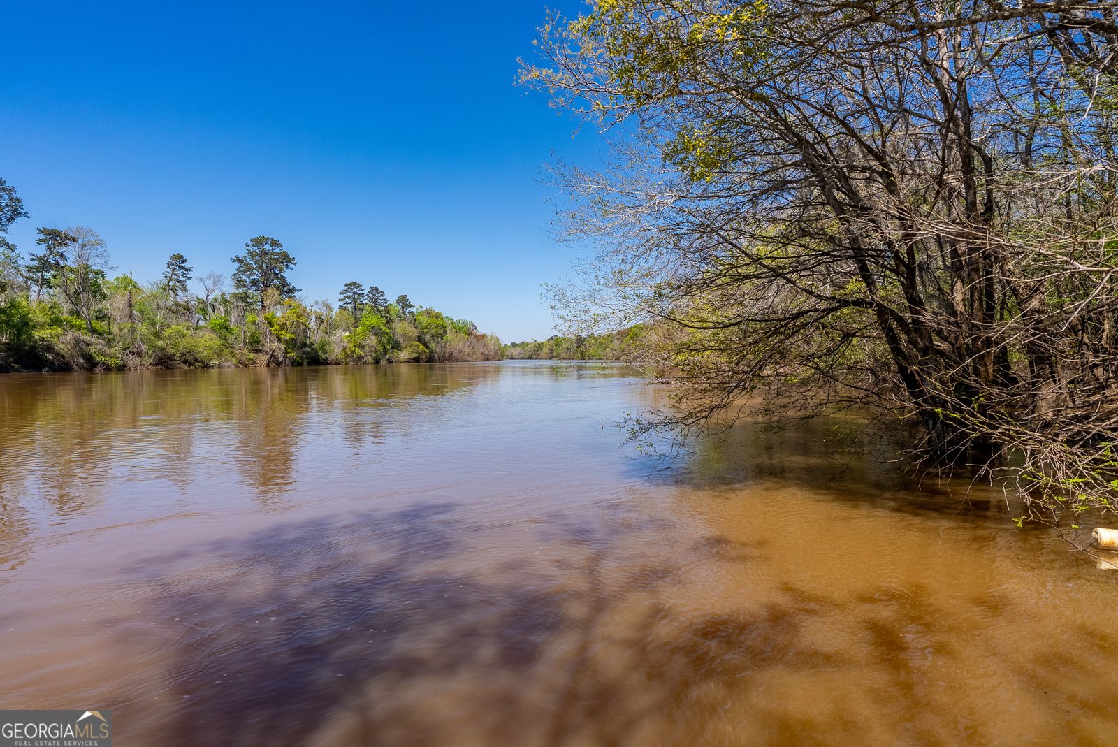 1102 Three Rivers Lane Uvalda - Photo 23
