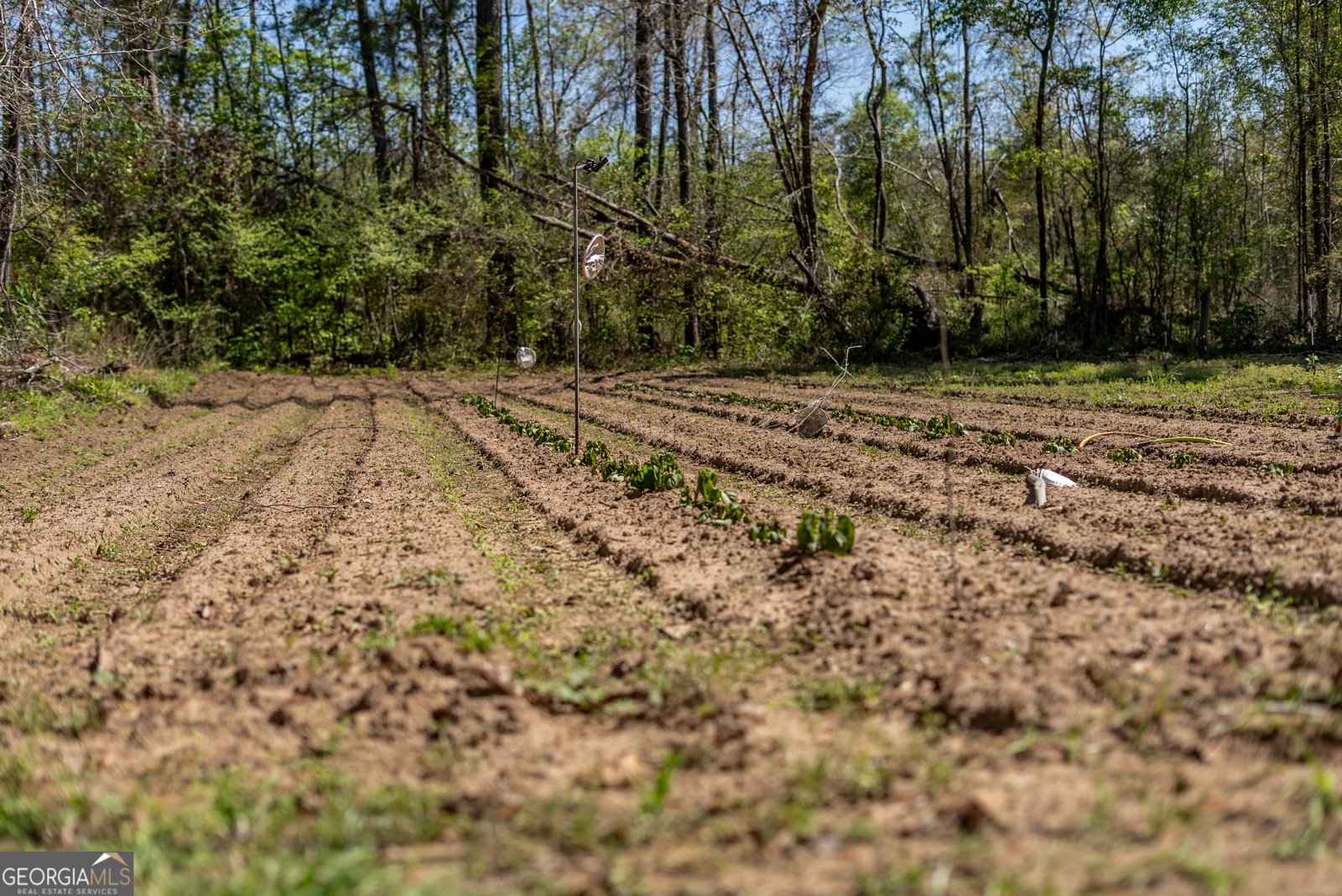 1102 Three Rivers Lane Uvalda - Photo 26