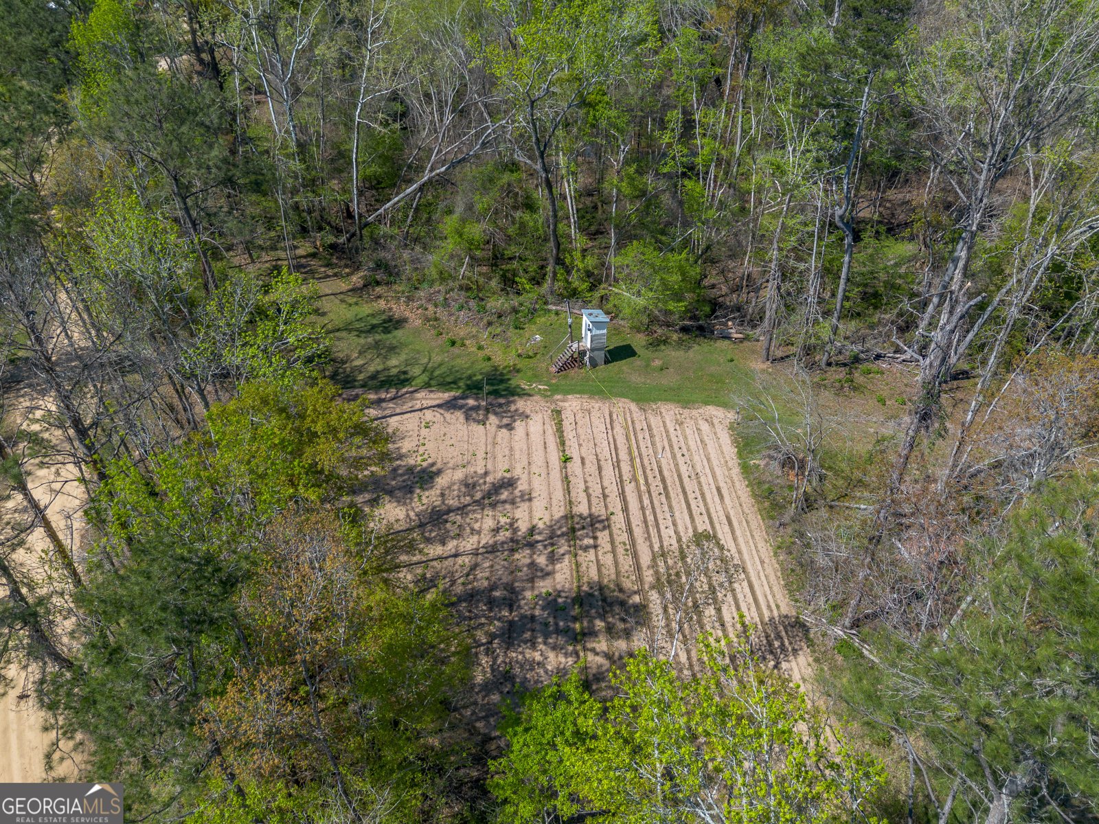 1102 Three Rivers Lane Uvalda - Photo 8