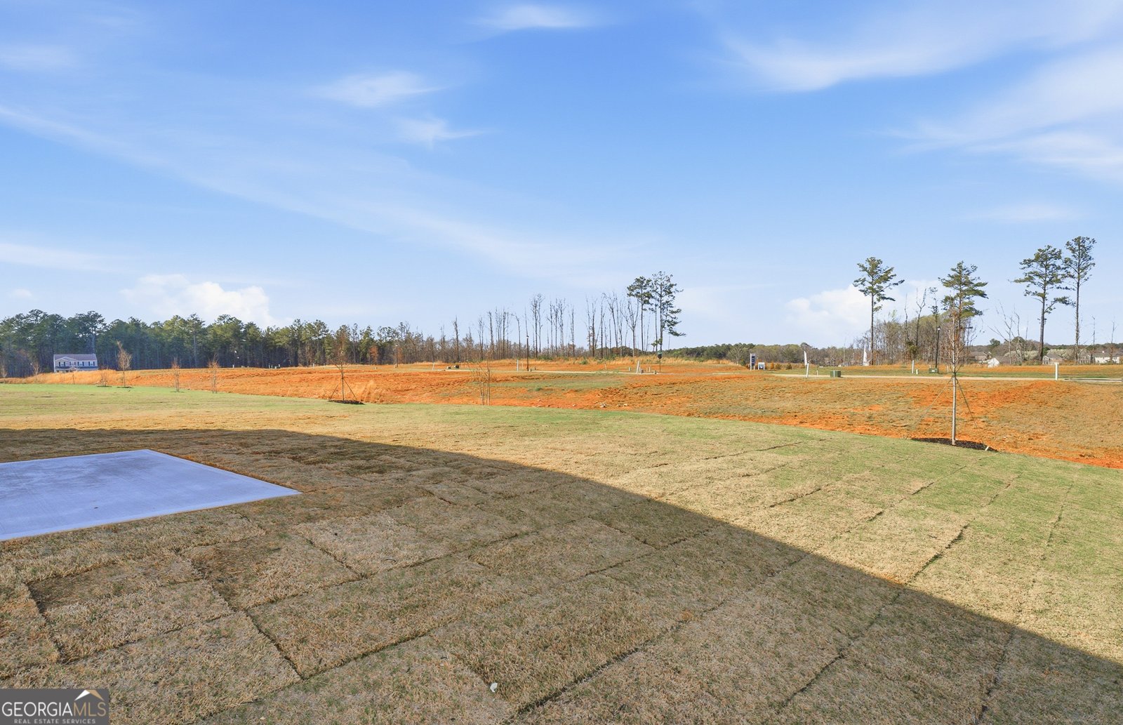 608 Vidalia Park Way Mcdonough - Photo 25